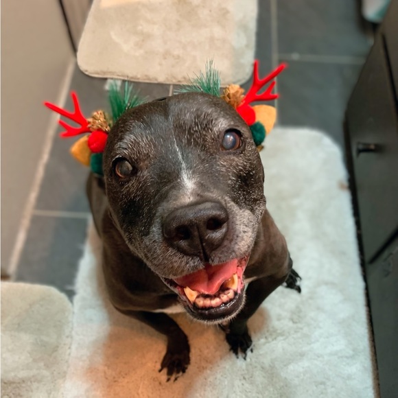 Meet your Posher, Trish - Picture 2 of 2